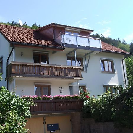 Haus Michler Todtnau Exterior foto